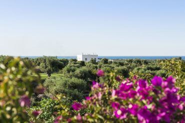 Masseria Torre Maizza Unveils Its Spring Splendor in Puglia